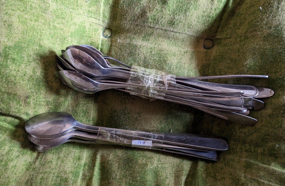 Cuillères Glace Inox