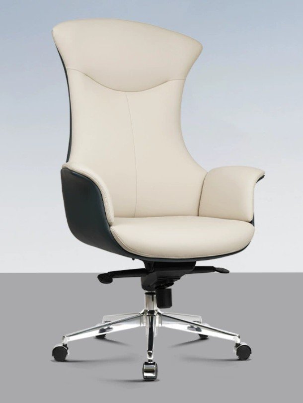 Fauteuil de bureau ergonomique