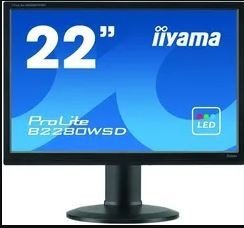 Ecran iiyama 22" ProLite B2280WSD-B1